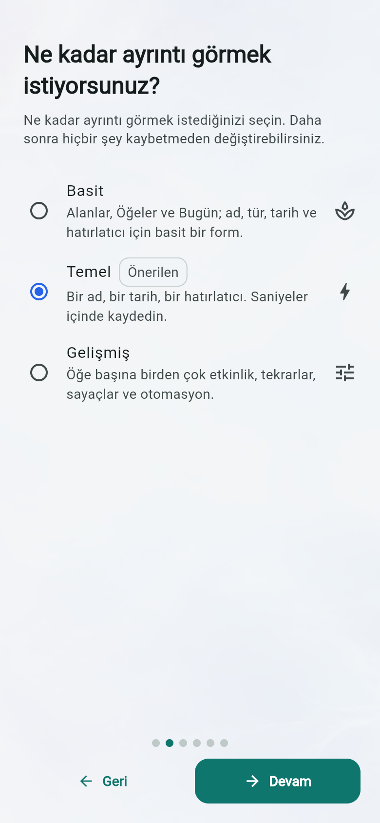 Ne kadar ayrıntı görmek istiyorsunuz?